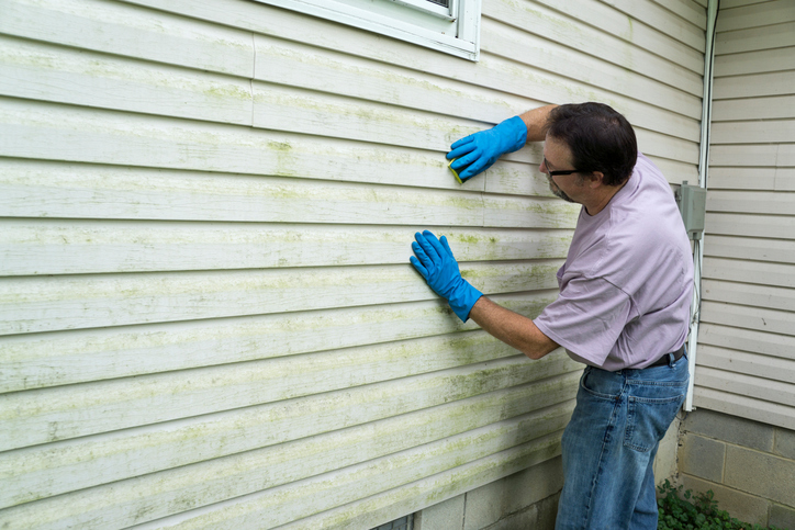 cleaning home siding