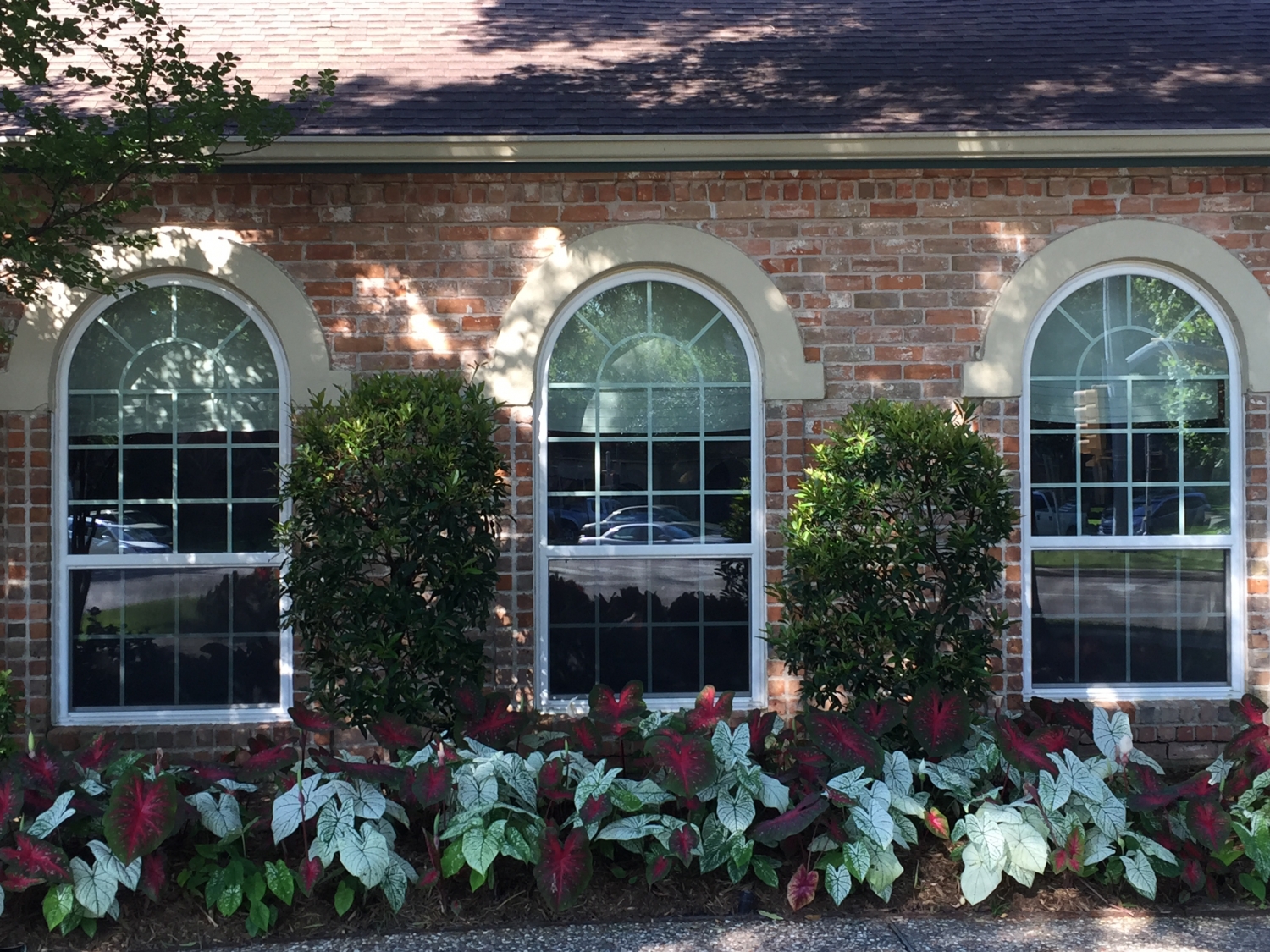 Allied Siding & Windows Home Replacement Window Company